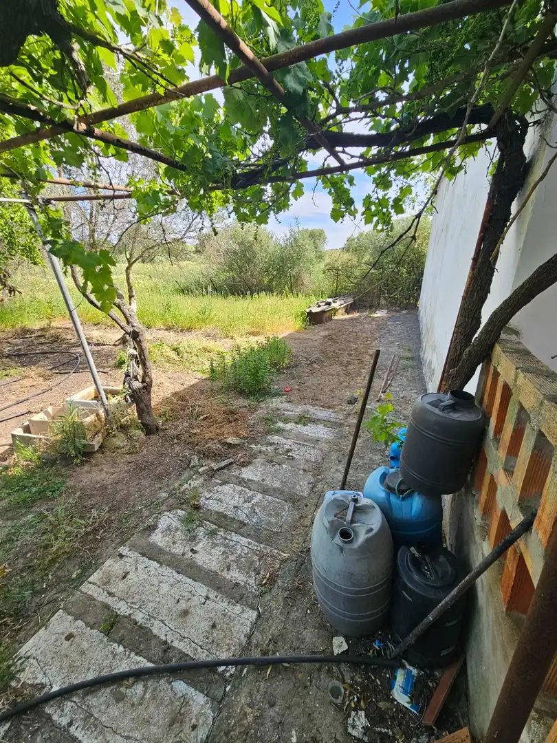 Maison rustique à vendre à Vejer, imagen 15