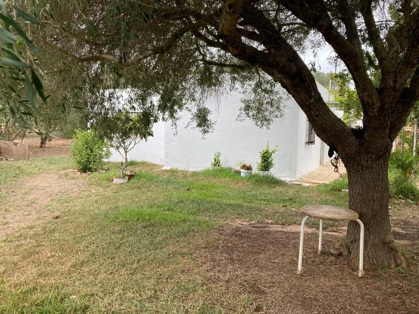 Casa rústica amb jardí en venda a Vejer, imagen 3