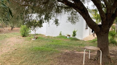 FINCA RUSTICA EN LA MUELA CON CASA PARA REFORMAR, immagine 3