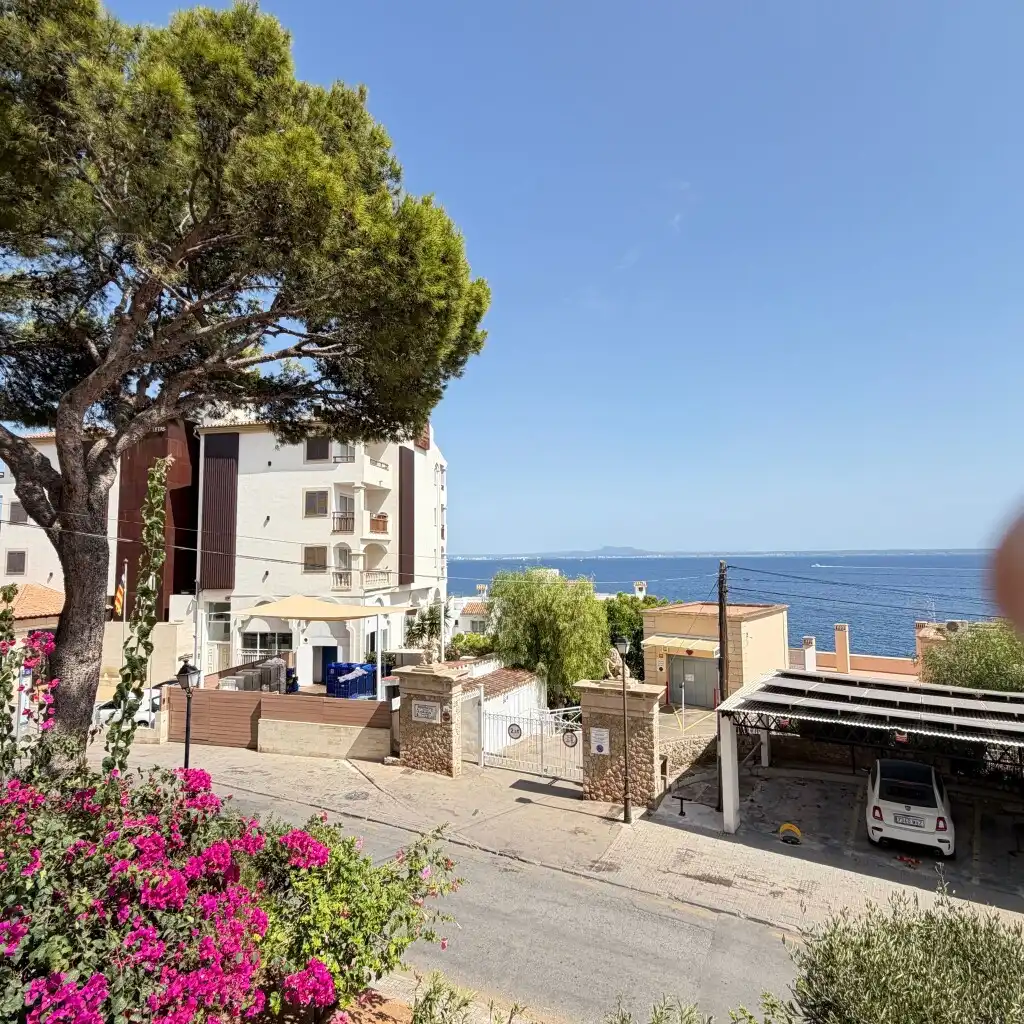 Exterior view of Apartments for sale in Calvià  with Terrace