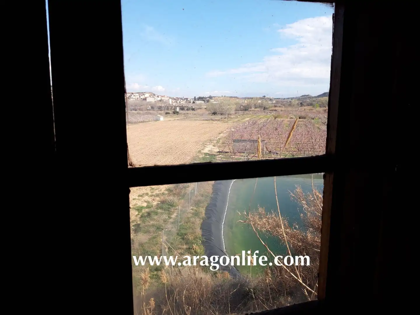 Jardín de Casa o chalet en venta en Fabara