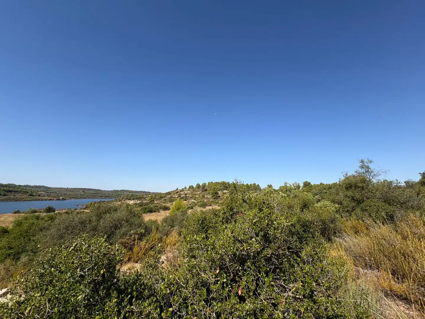 Terreno rustico in vendita a Cervià de Les Garrigues, imagen 25