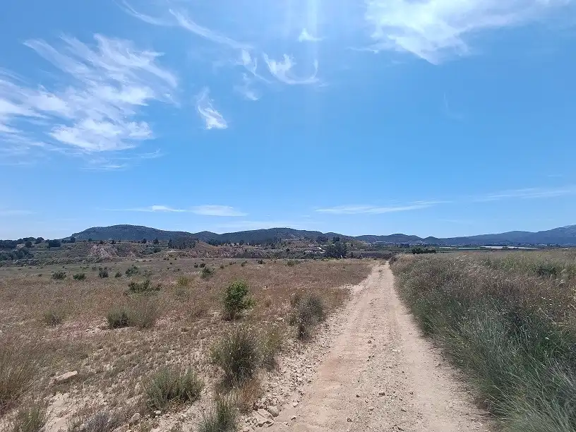 Lands and plots for sale in Mula, imagen 27
