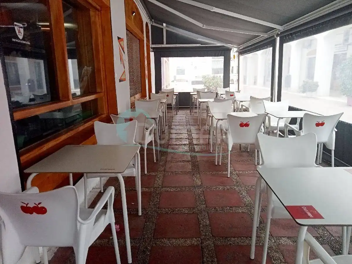 Local comercial en venta en San Pedro de Alcántara, imagen 6