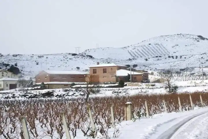 Vista exterior de Edifici en venda en Baños de Ebro / Mañueta