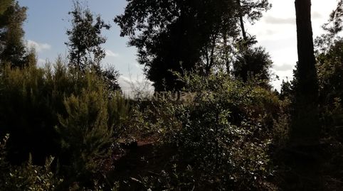 Foto 5 de Residencial en venta en Creu D'aguilar, 301, Canyamars, Dosrius