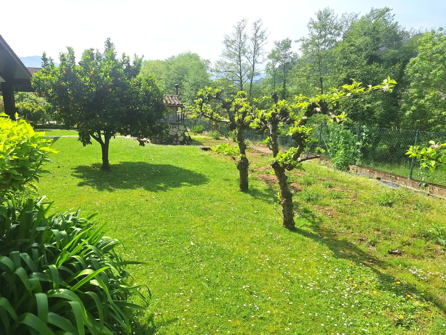 Villa con terrazza in vendita a Barrio Sámano, imagen 49