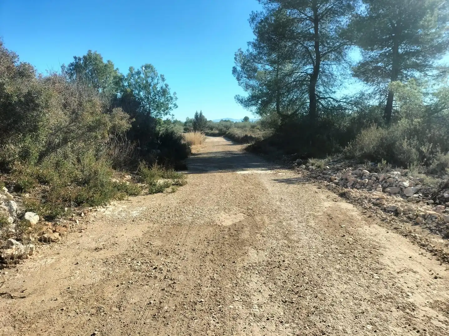Terreno rustico in vendita a Polígono 7 Parcela 82 LOMA FERRER. NAVARRES (VALE 7, imagen 11