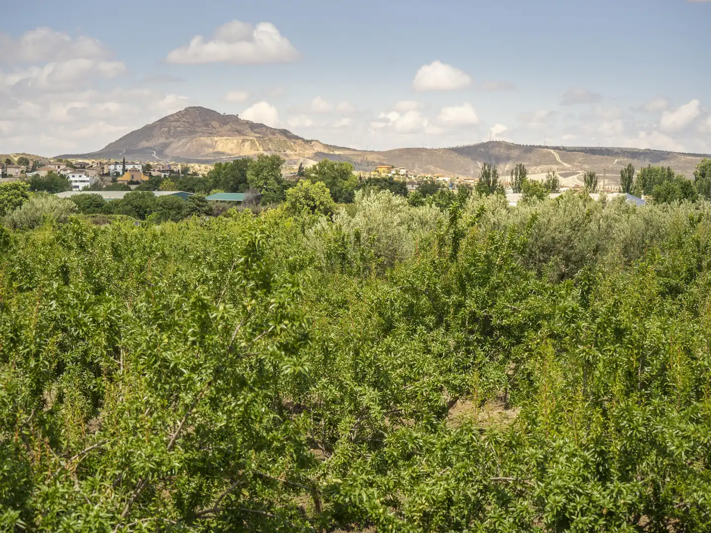 Terreni e lotti in vendita a Carretera de Granada - La Alcazaba, imagen 7