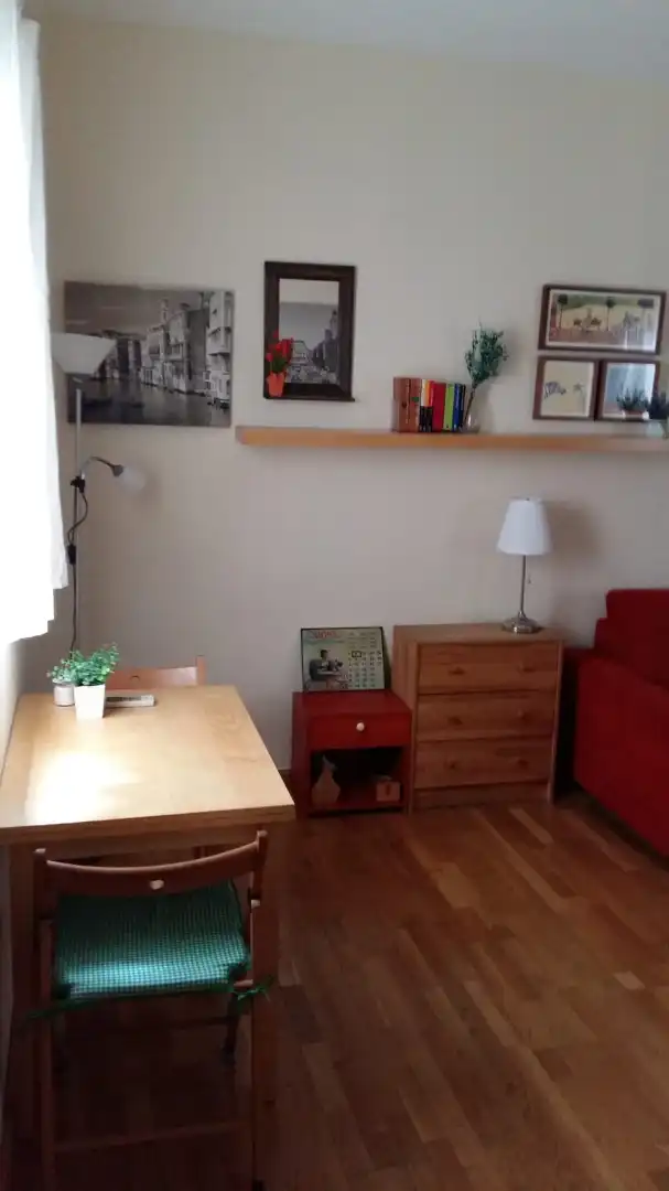 Comedor de Estudio de alquiler en Madrid con Aire acondicionado, Calefacción y Parquet