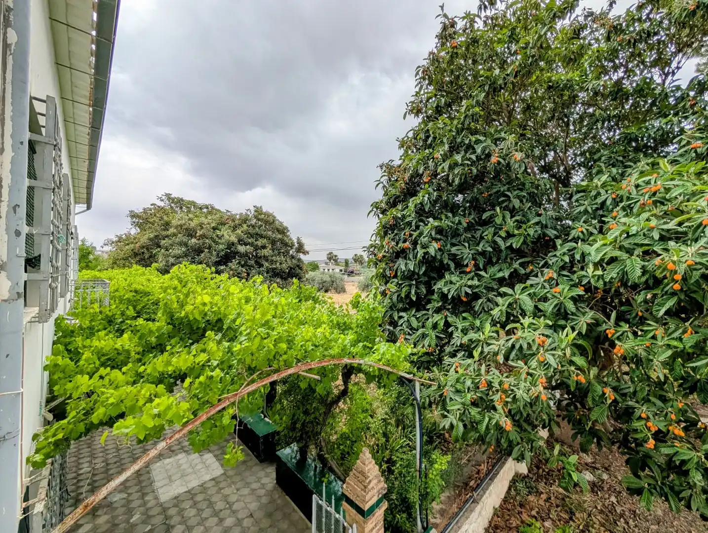 Jardí de Casa o xalet en venda en Loja amb Aire condicionat, Calefacció i Jardí privat