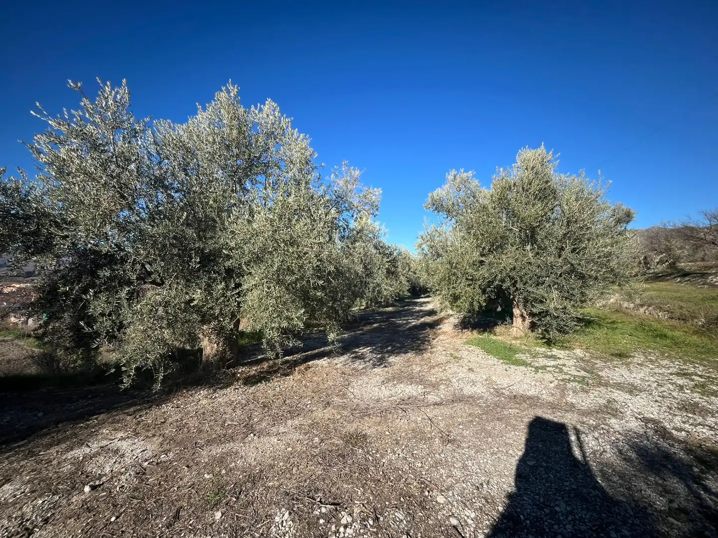 Rural land for sale in Calle Jose Saramago 2, imagen 4