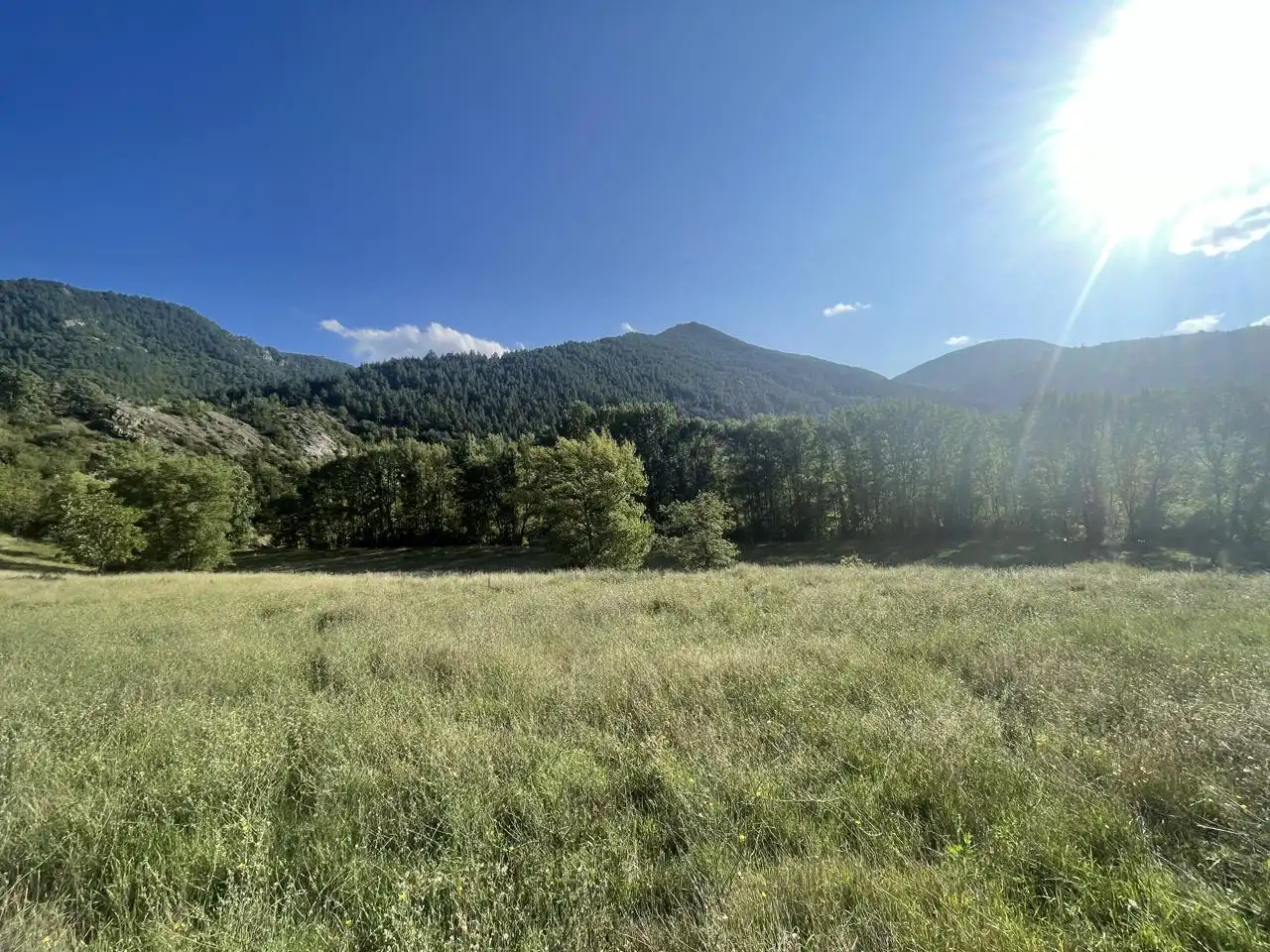 Land for sale in El Pont de Bar