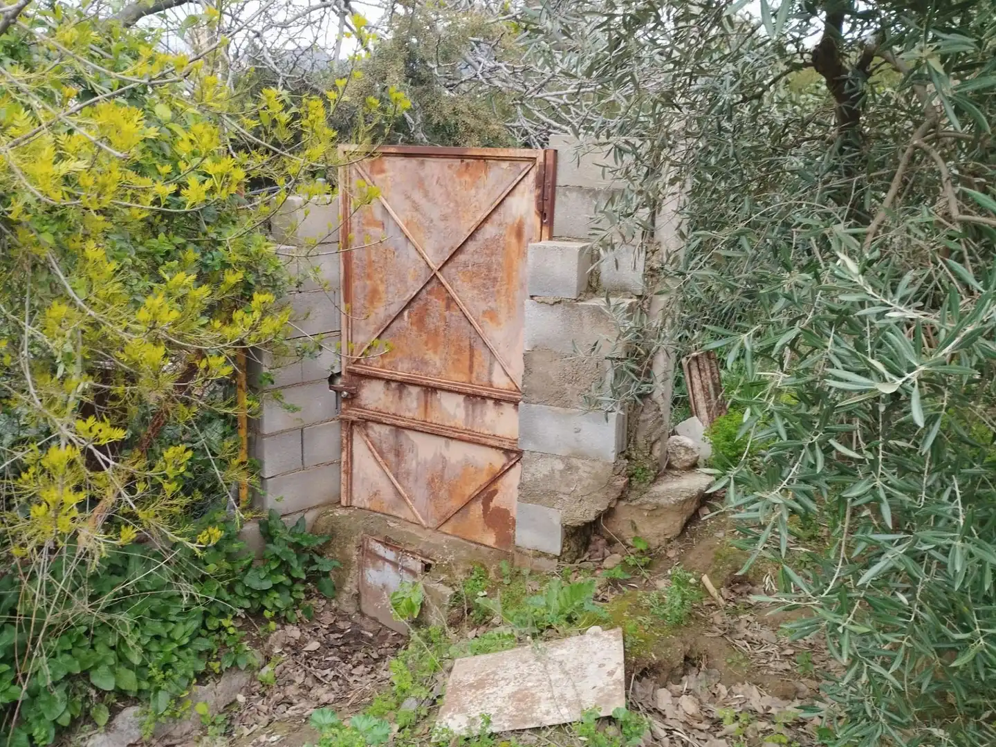 Terreni e lotti in vendita a Camino del cerro poligono 3 parcela, imagen 18