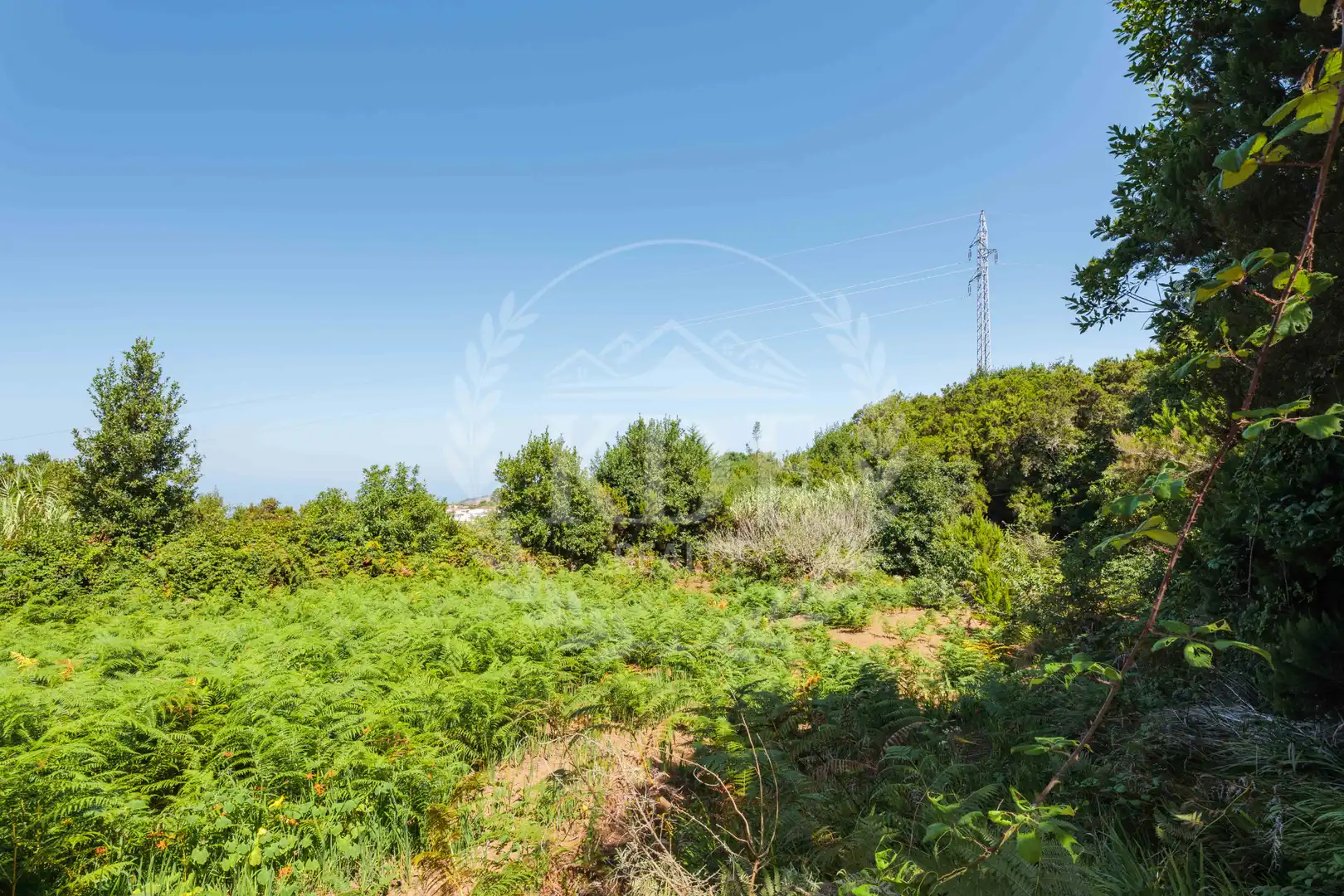 Chalet con jardín en venta en N/A, imagen 25