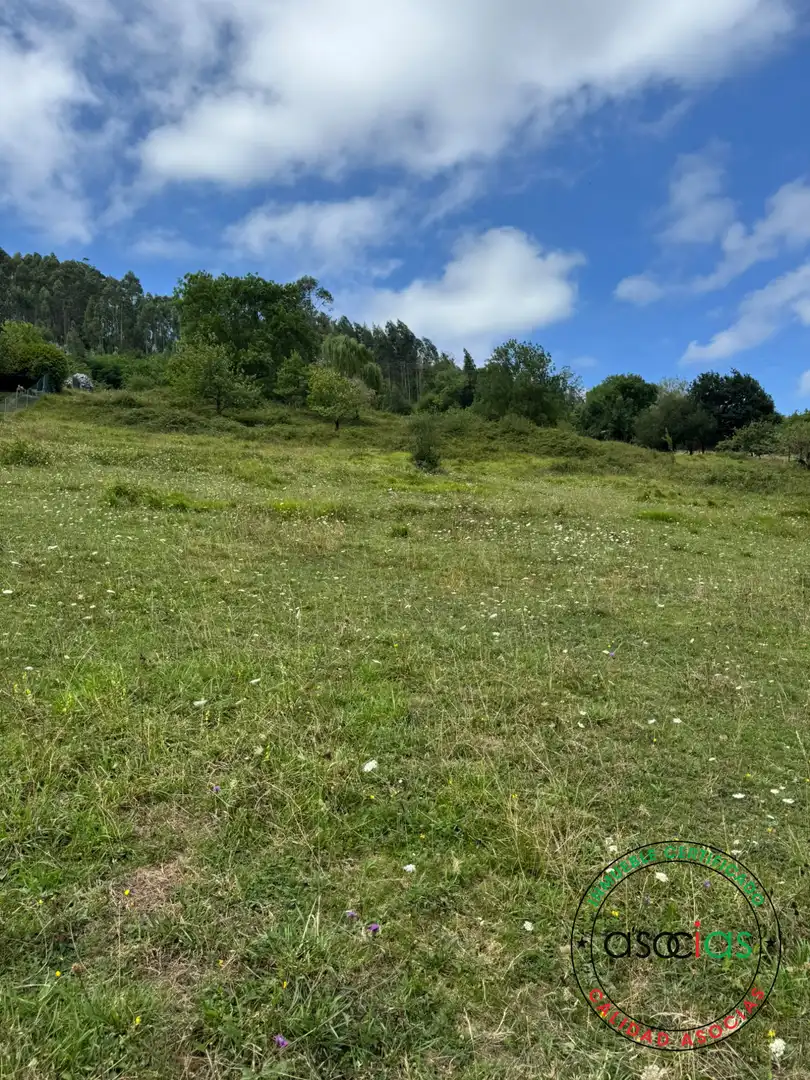 Terreny en venda en Villaviciosa
