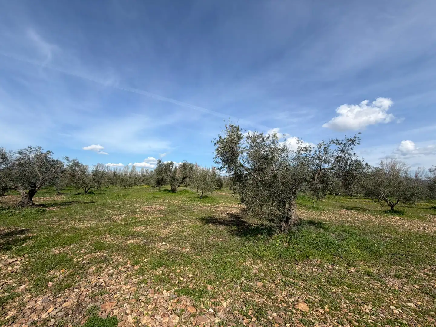 Grundstücke und Bauplätze zum Verkauf in Malagón, imagen 32