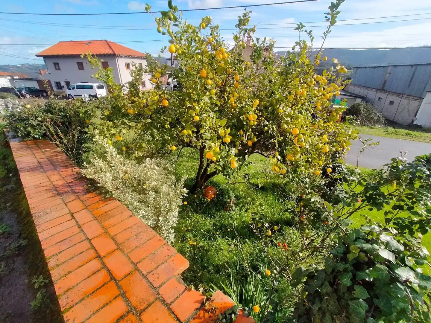 Casa rustica in vendita a Pravia, imagen 77