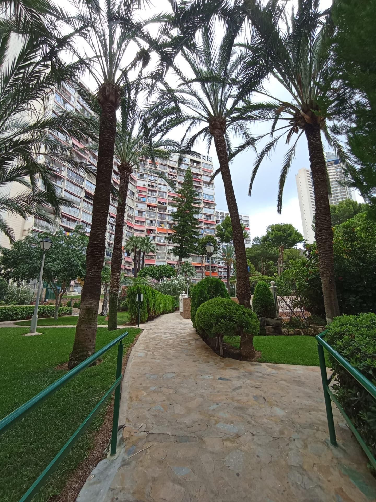 Vista exterior de Estudio en venta en Benidorm