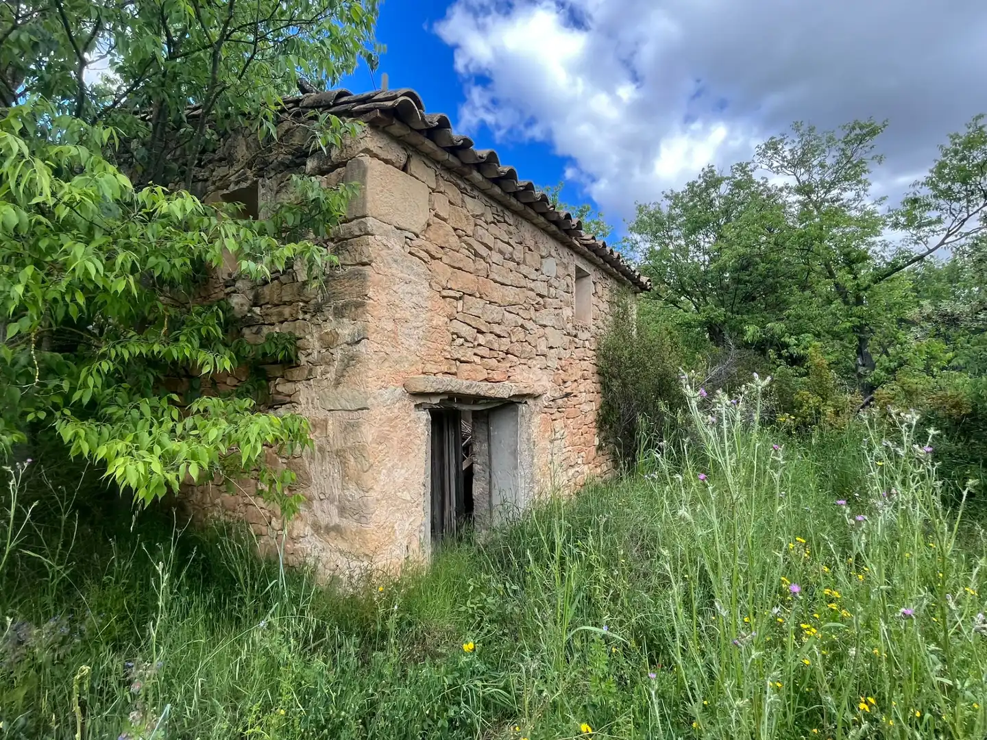 Terreni e lotti in vendita a La Portellada, imagen 3
