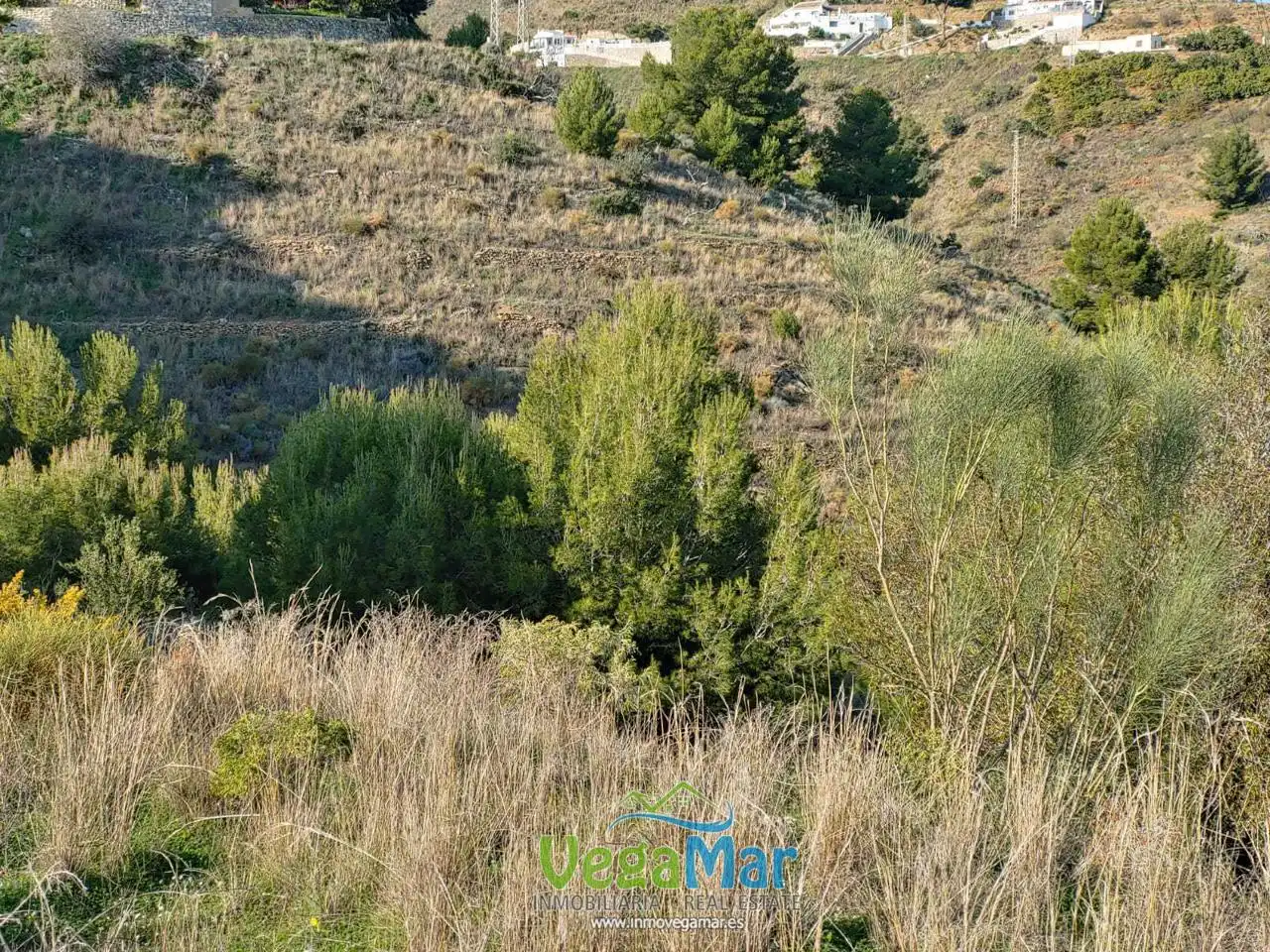 Terreni e lotti in vendita a Al Barranco, imagen 9