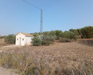 Terreny en venda en Osuna