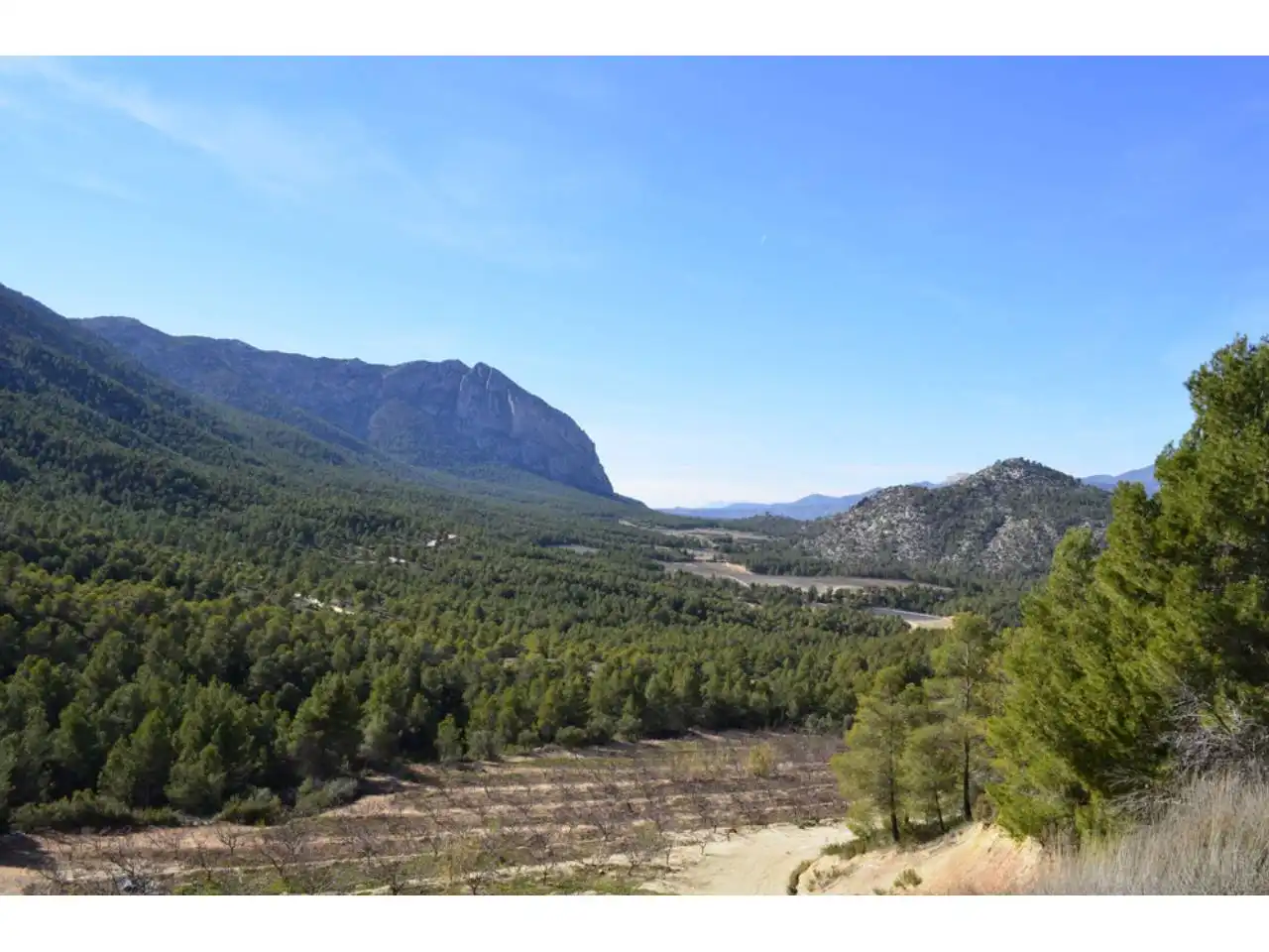 Lands and plots for sale in Pasaje Rincones y Sierra Espuña, imagen 5