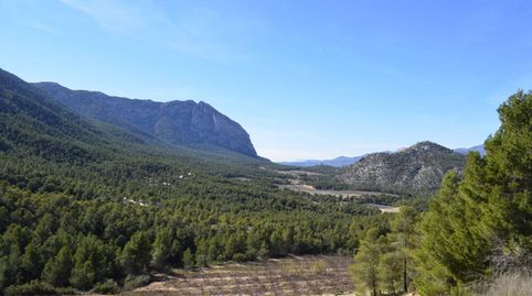 Finca rustica en venta en Paraje Rincones y Sierra EspuñaMula, immagine 5