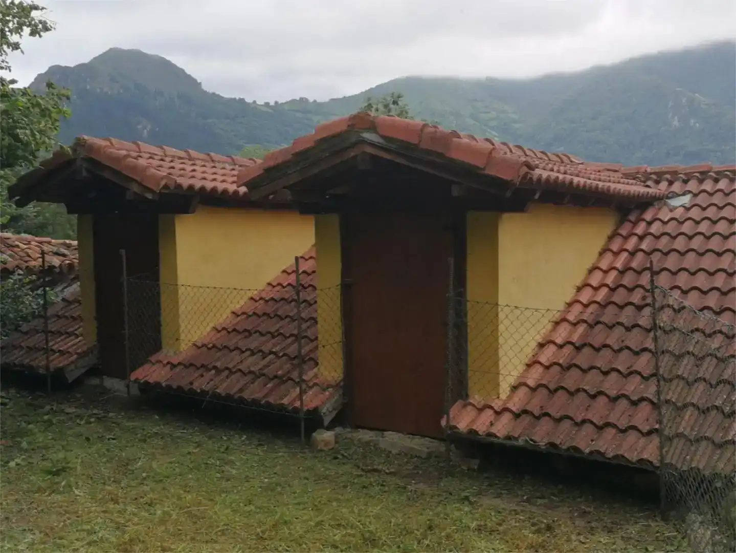 Vista exterior de Pis en venda en Proaza amb Jardí privat