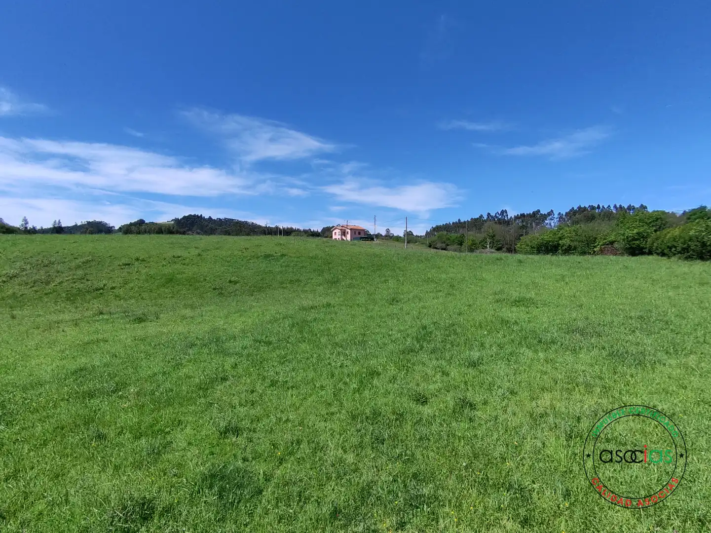 Terreno rustico in vendita a Gijón - CR DE GALLINAL 203, imagen 2