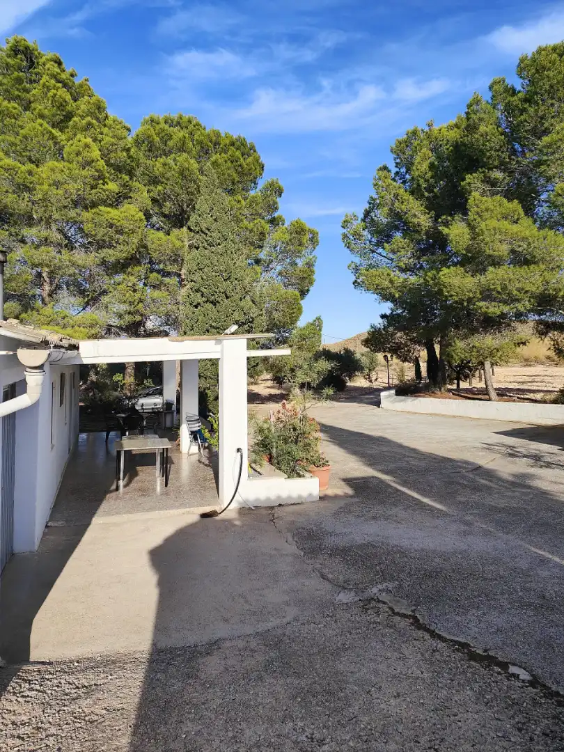Jardí de Casa o xalet en venda en Yecla amb Jardí privat, Terrassa i Piscina