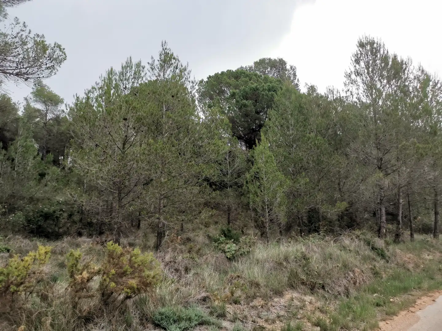 Residencial en venda en El Montmell