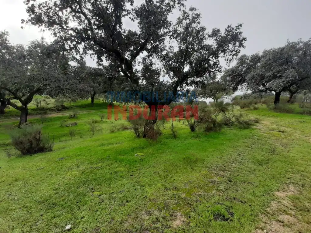 Finca rústica en venta en Millanes