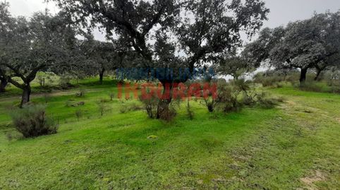 Foto 4 de Finca rústica en venta en Millanes, Cáceres