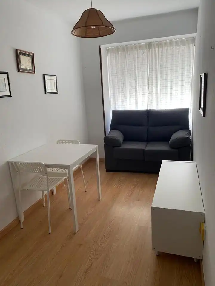 Sala de estar de Piso de alquiler en Santiago de Compostela  con Amueblado