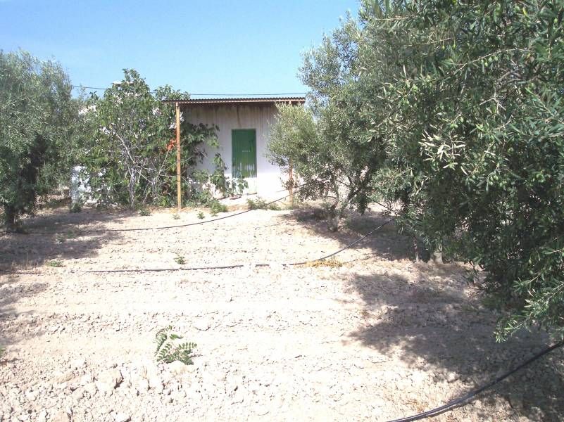 Edifici en venda en Zarza la Mayor