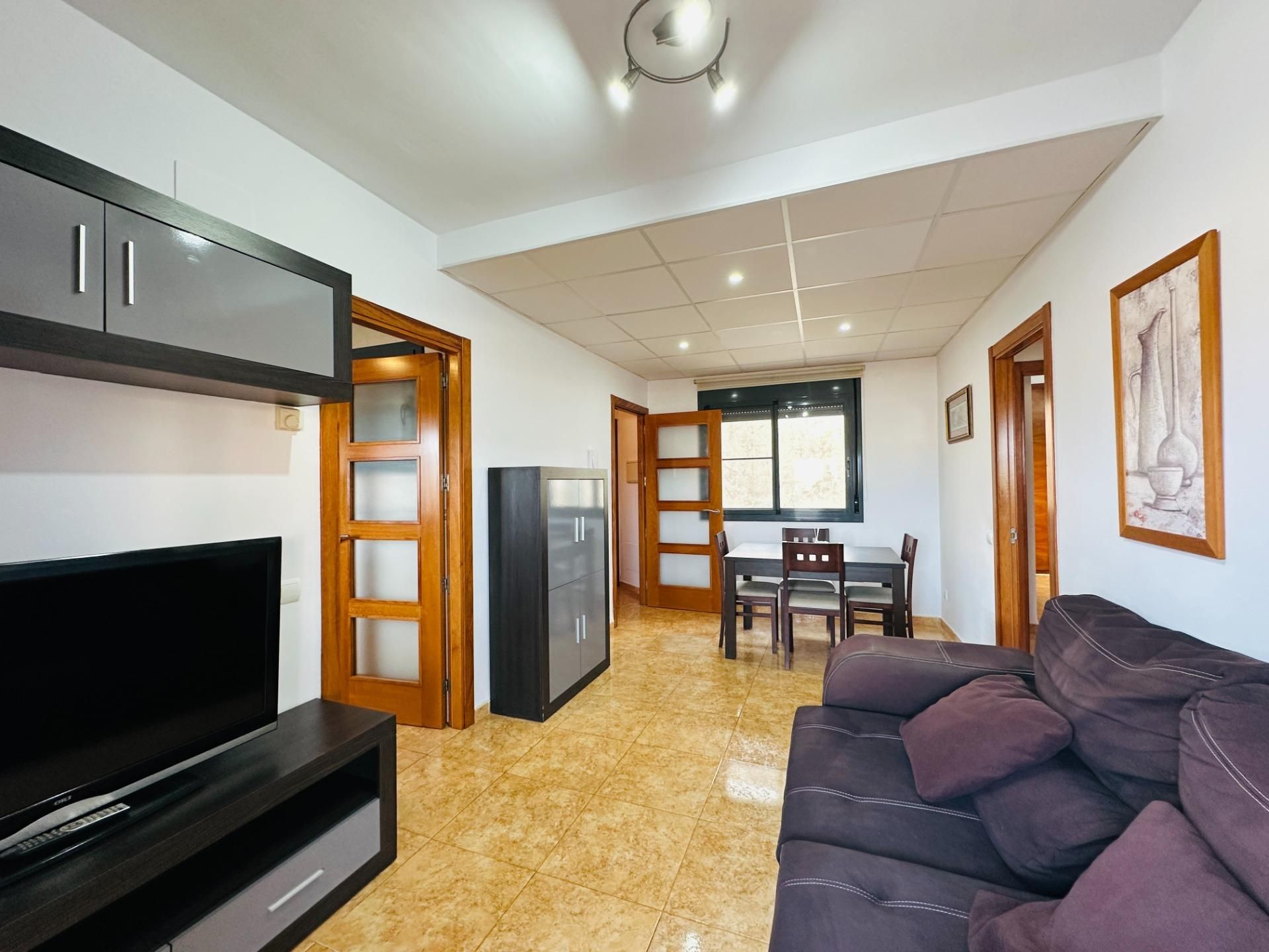Living room of Attic for sale in Amposta  with Air Conditioner, Terrace and Furnished