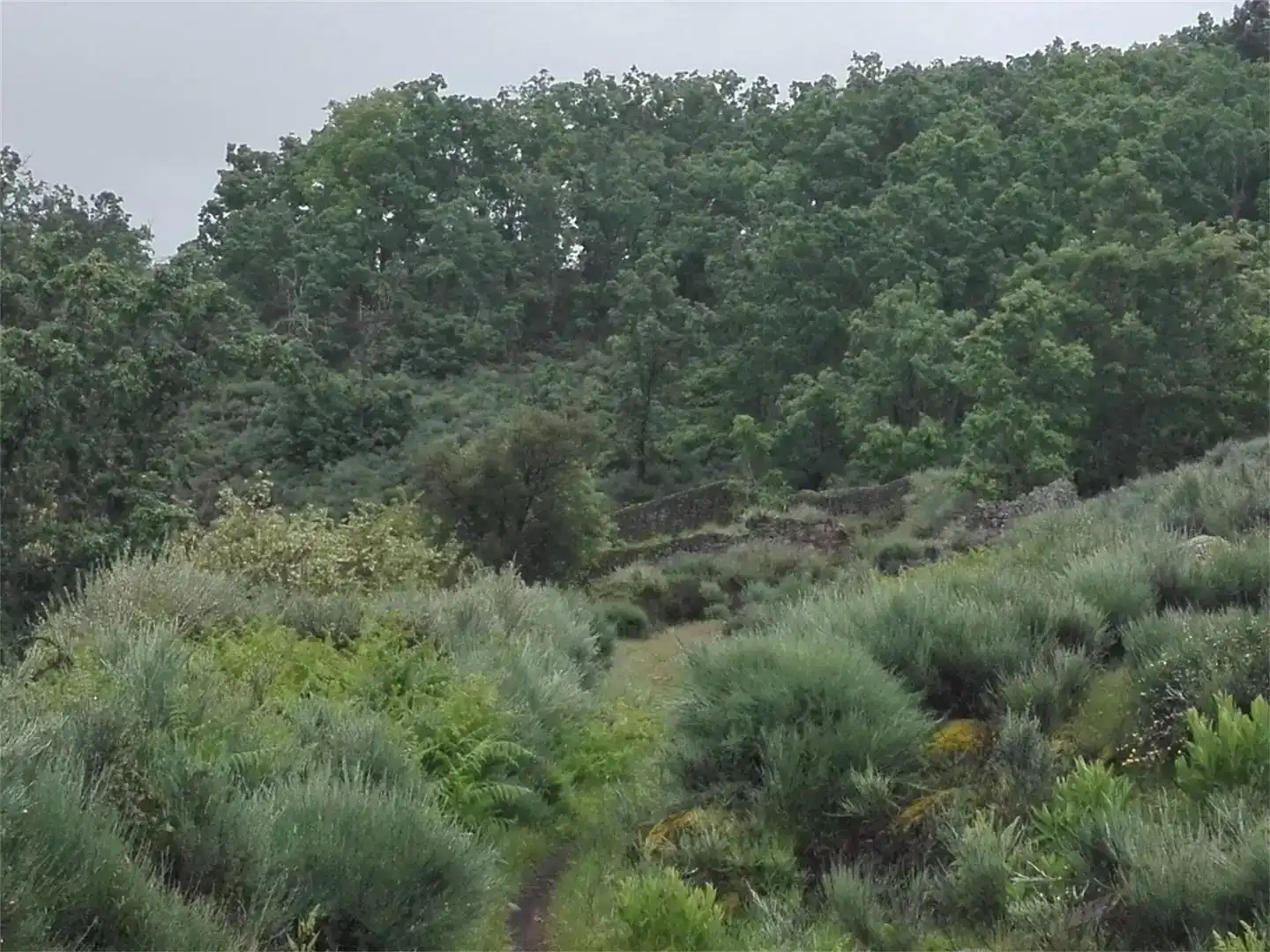 Terreno en venta en Hoyos
