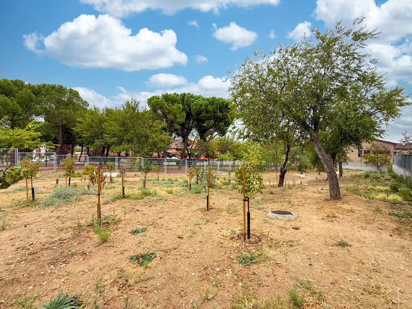Flat for rent in Cobeña, Madrid