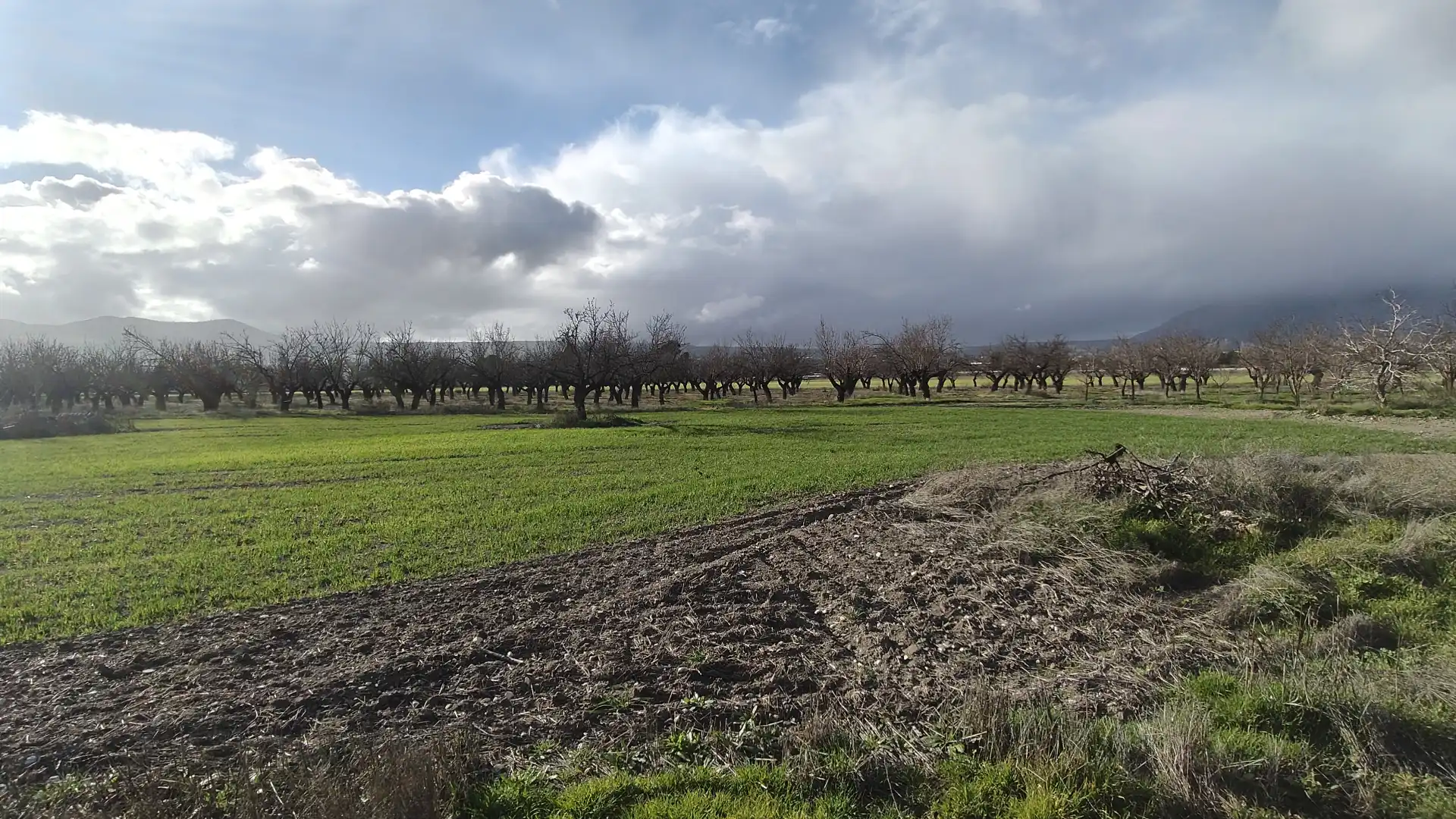 Chalet en venta en Carretera de Murcia, imagen 16