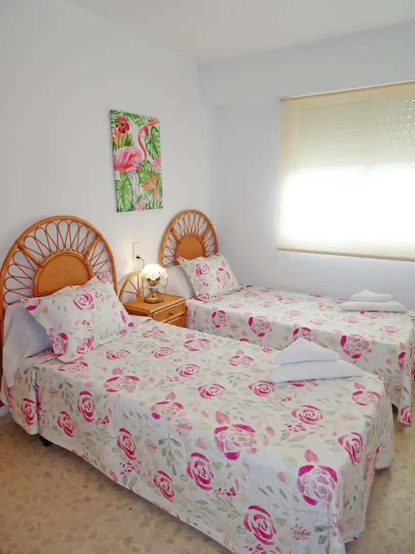 Apartament amb terrassa de lloguer a Playa de Gandia, imagen 28