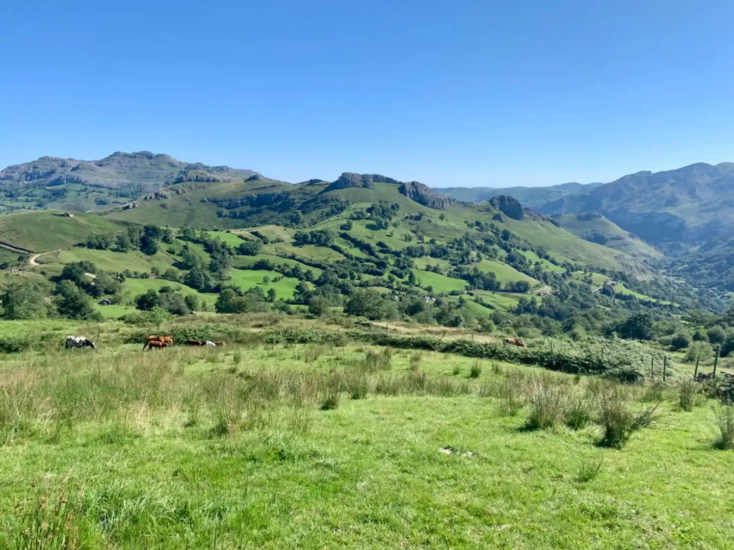 Casa o chalet en venta en San Roque de Riomiera con Jardín privado