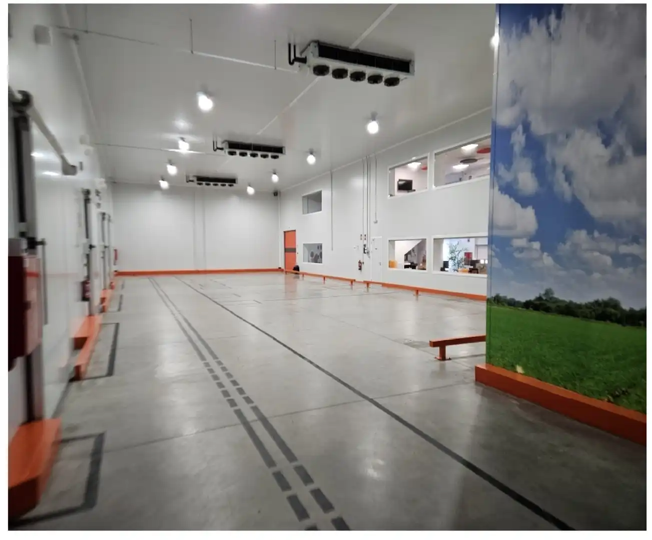 Industrial building for sale in La Motilla - Fuente del Rey, imagen 2