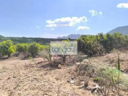 Terreny rústic en venda a Vallés, imagen 14
