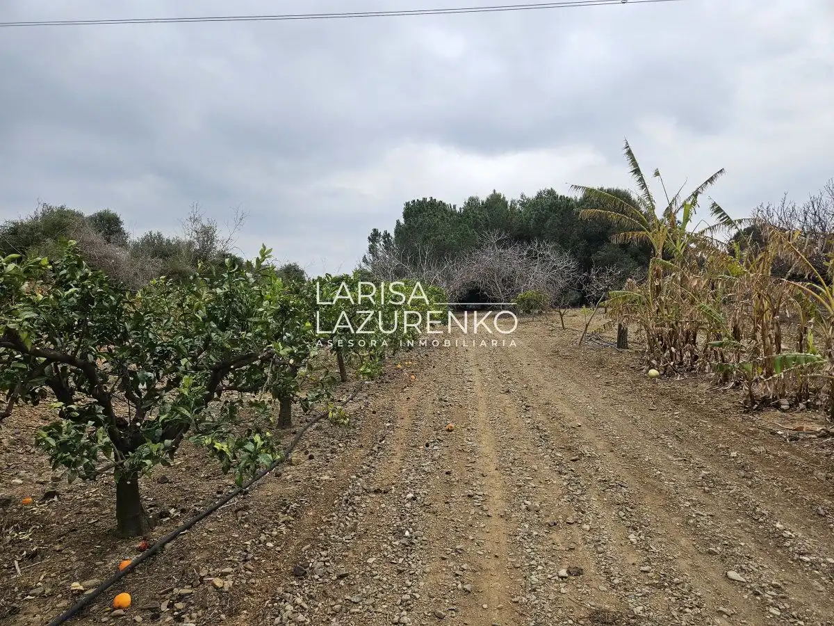 Finca rústica en venda en Riudoms