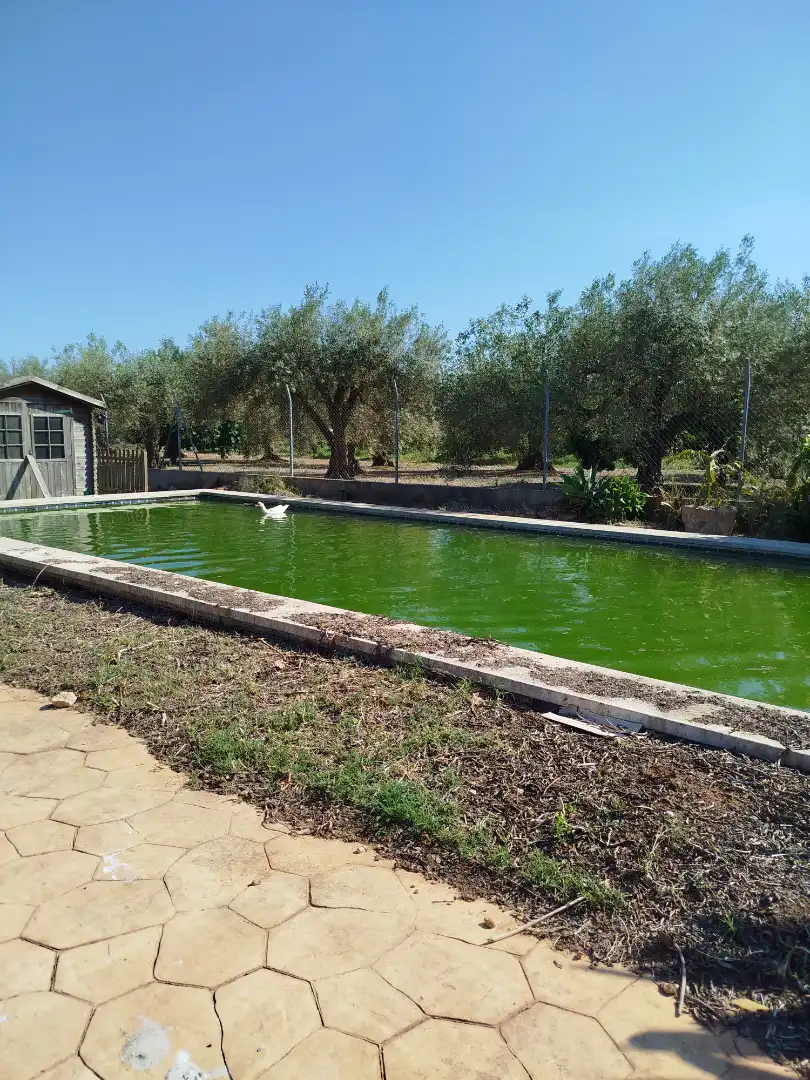 Piscina de Casa o xalet en venda en Benicarló amb Aire condicionat, Calefacció i Jardí privat