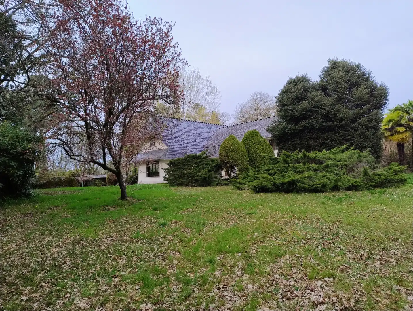 Vista exterior de Casa o chalet en venta en Lugo con Amueblado