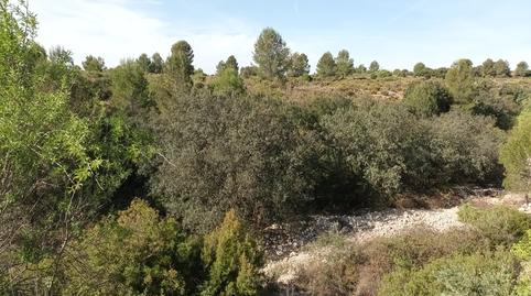 Photo 5 of Residential for sale in Les Alqueries 7 Partida.numero 6 Polígono 6 Parcel, Santa Ana, Valencia