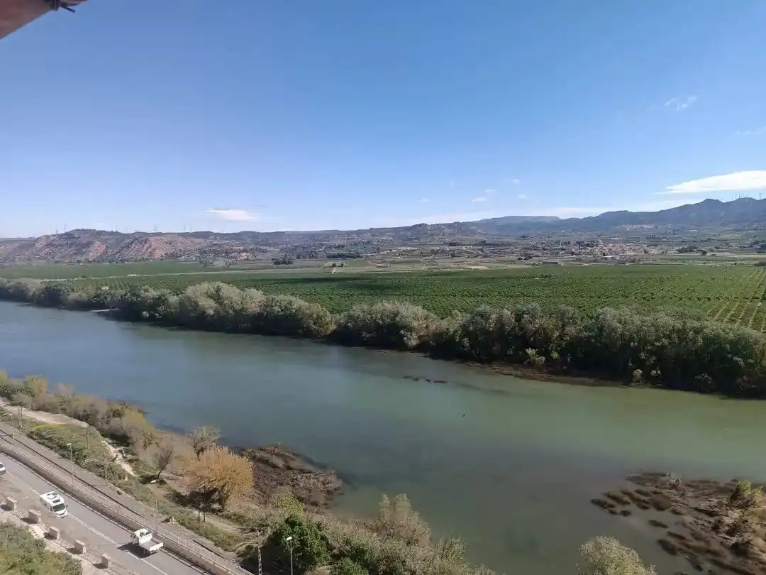Casa o chalet en venta en Ascó con Balcón