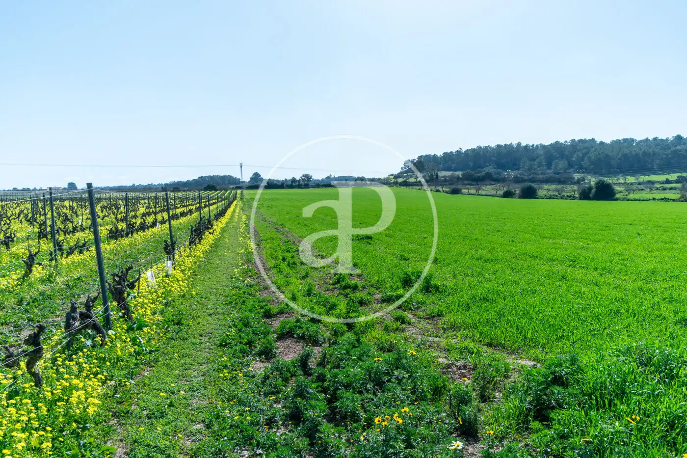 Residential for sale in Porreres